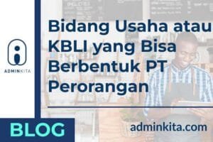 bidang usaha pt perorangan