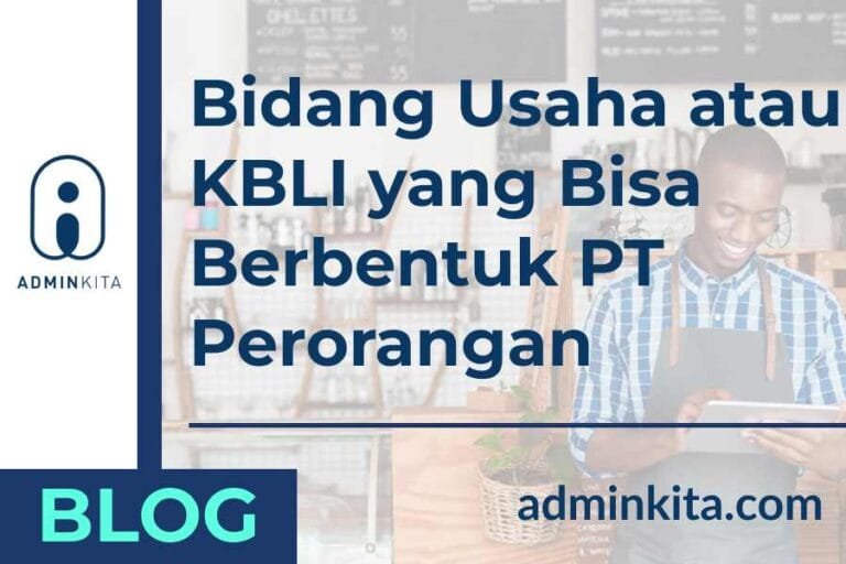 bidang usaha pt perorangan
